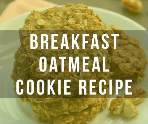 Healthy Oatmeal Cookies - A Craving Crushing Recipe